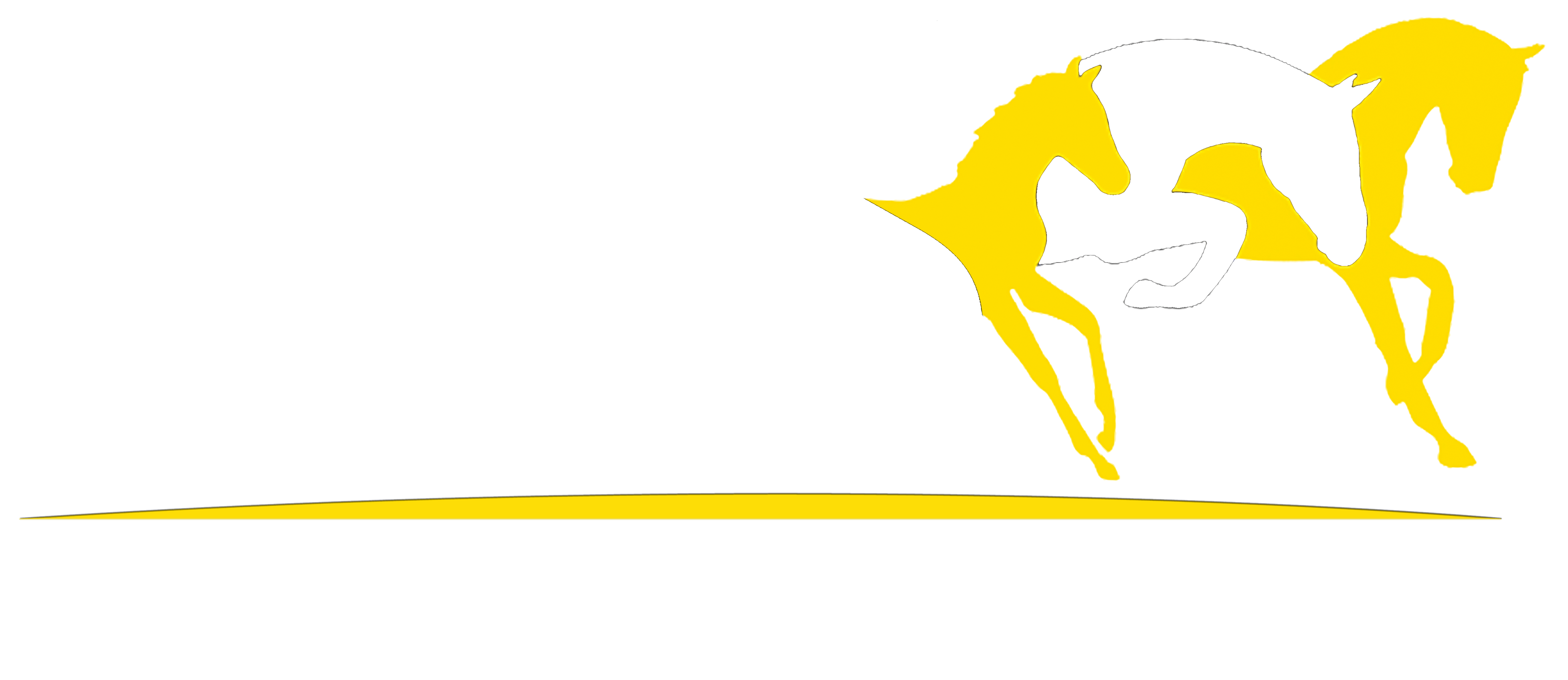 https://ahs-foundation.org